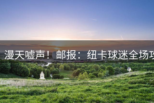 漫天嘘声！邮报：纽卡球迷全场攻击伊萨克，他被敌意和压力击垮