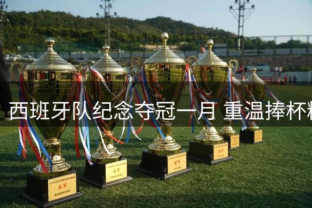 西班牙队纪念夺冠一月 重温捧杯精彩时刻